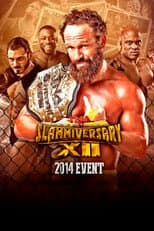 Poster for TNA Slammiversary XII