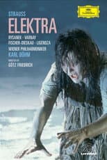 Poster for Elektra