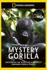 Poster for De mystiske gorillaer