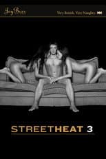 Poster for Street Heat 3