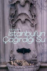 Poster for İstanbul'un Çağırdığı Su