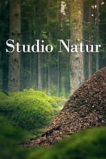 Poster for Studio Natur