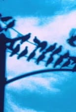 Poster for Faultlines