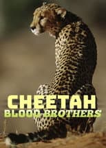 Poster for Cheetah Blood Brothers
