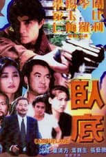 Poster for Camouflage