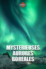 Poster for The Wonder of the Northern Lights