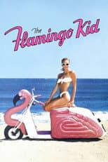 Poster for The Flamingo Kid