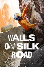 Poster for Walls on Silk Road
