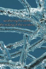 Poster for Weathering the Storm: The Making of The Ice Storm