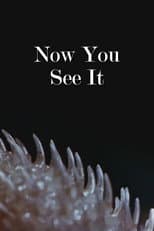 Poster for Now You See It