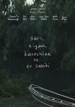 Poster for The Yellow, The Cat, The Kayakers and The Host