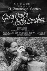 Poster for Grey Owl's Little Brother