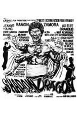 Poster for Shadow of the Dragon