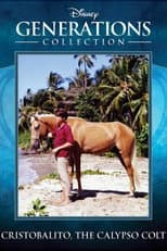 Poster for Cristobalito, the Calypso Colt
