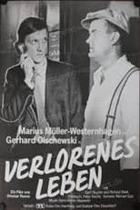 Poster for A Lost Life