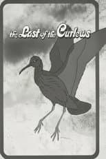 Poster for The Last of the Curlews