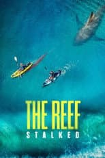 Poster for The Reef: Stalked