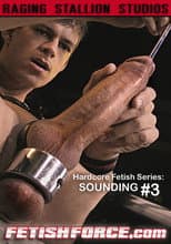 Poster for Hardcore Fetish Series: Sounding #3