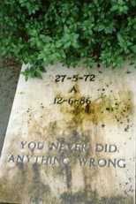 Poster for You never did anything wrong