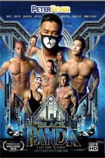 Poster for The Black Panda 1