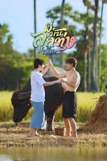 Poster for Love Harvest