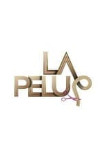 Poster for La Pelu