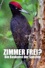 Poster for Knock knock – a Woodpeckers world