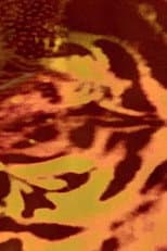 Poster for Animal macula