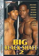 Poster for Big Black Shaft 2