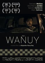 Poster for Wañuy