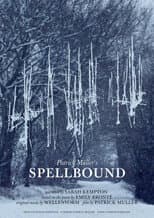 Poster for Spellbound