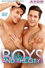 Poster for Boys and the City 2