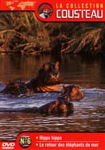 Poster for The Cousteau Collection N°6-1 | Hippo, Hippo