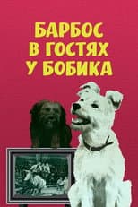 Poster for Barbos Visiting Bobik
