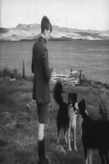 Poster for Crofter Boy
