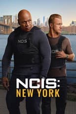 Poster for NCIS: New York