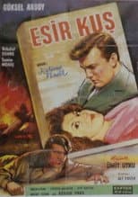Poster for Esir Kuş