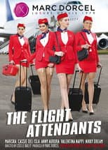 Poster for The Flight Attendants