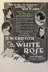 Poster for The White Rose