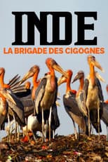Poster for Inde, la brigade des cigognes