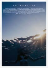 Poster for Surfaces