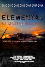 Poster for Elemental: Reimagine Wildfire