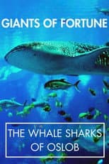 Poster for Giants of Fortune: The Whale Sharks of Oslob