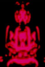 Poster for The Star Curtain Tantra