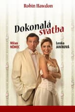 Poster for Dokonalá svatba