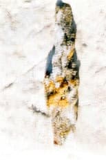 Poster for J'écoute l'univers