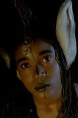 Poster for Fary the Donkey