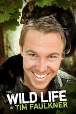Poster for The Wild Life of Tim Faulkner