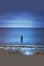 Poster for Steven Wilson: Catalogue / Preserve / Amass