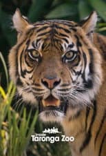 Poster for Inside Taronga Zoo
